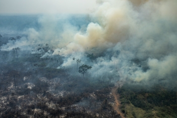 COLNIZA, MATO GROSSO, BRAZIL. Aerial view of burned areas in the Amazon rainforest, in the city of Colniza, Mato Grosso state. COLNIZA, MATO GROSSO, BRASIL. Vista aérea de áreas queimadas e focos de incêndio na Amazônia, na cidade de Colniza, Mato Grosso. (Photo: Victor Moriyama / Greenpeace)